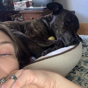 Meet your Posher, Abby